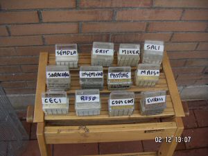 10 04 alimentazione.jpg
